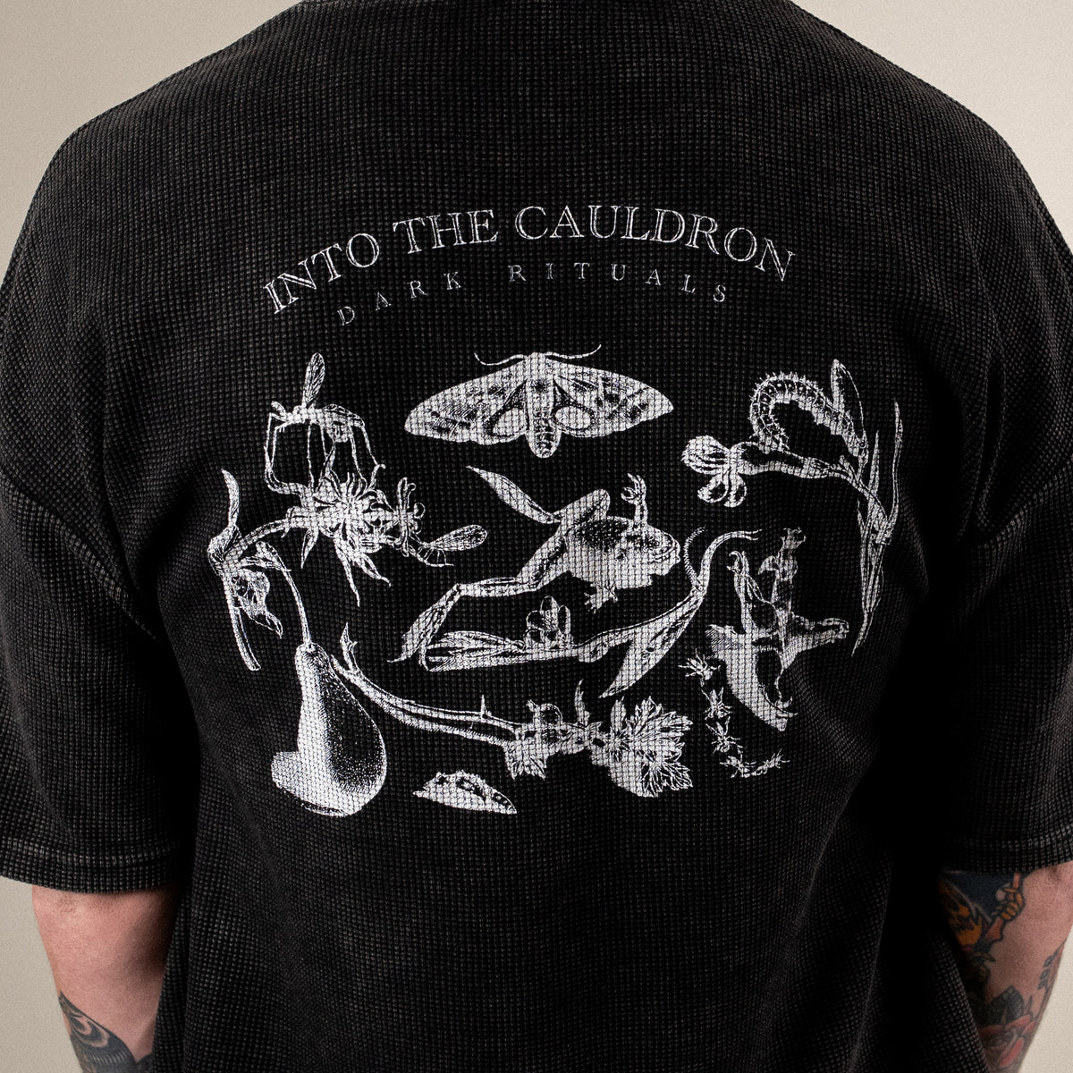 Into the Cauldron